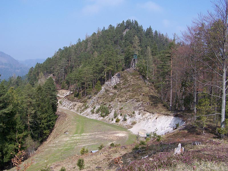 Wildfütterung
